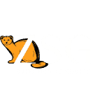ZSG Cleaning Technology narancsfekete